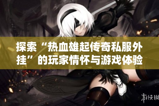 探索“热血雄起传奇私服外挂”的玩家情怀与游戏体验冲突