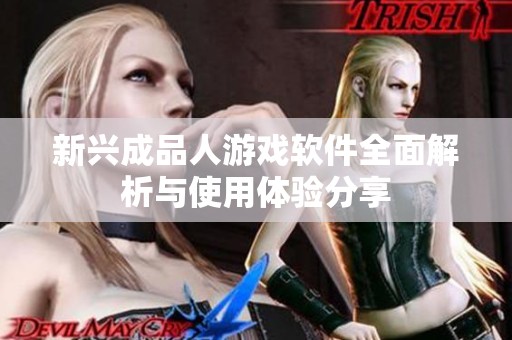 新兴成品人游戏软件全面解析与使用体验分享