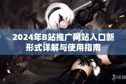 2024年B站推广网站入口新形式详解与使用指南