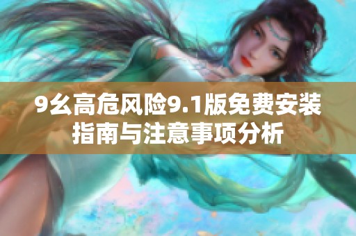 9幺高危风险9.1版免费安装指南与注意事项分析