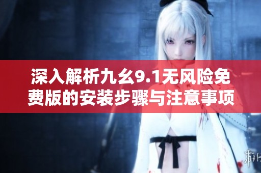 深入解析九幺9.1无风险免费版的安装步骤与注意事项