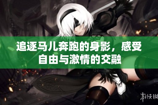 追逐马儿奔跑的身影，感受自由与激情的交融