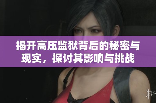 揭开高压监狱背后的秘密与现实，探讨其影响与挑战