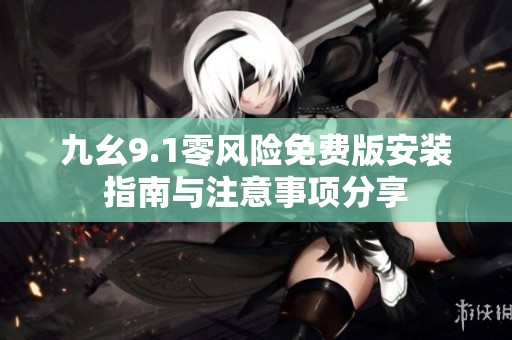 九幺9.1零风险免费版安装指南与注意事项分享