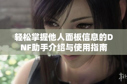 轻松掌握他人面板信息的DNF助手介绍与使用指南