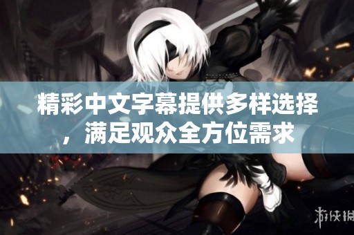 精彩中文字幕提供多样选择，满足观众全方位需求