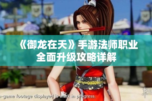 《御龙在天》手游法师职业全面升级攻略详解