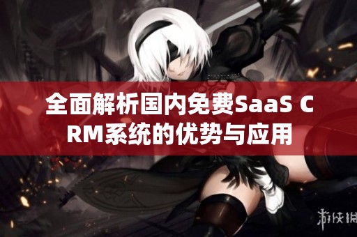 全面解析国内免费SaaS CRM系统的优势与应用