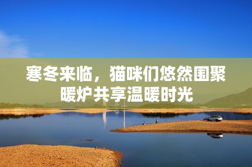 寒冬来临，猫咪们悠然围聚暖炉共享温暖时光