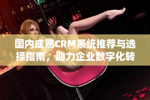 国内成熟CRM系统推荐与选择指南，助力企业数字化转型