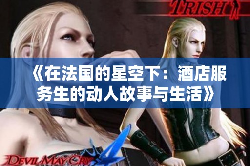 《在法国的星空下：酒店服务生的动人故事与生活》