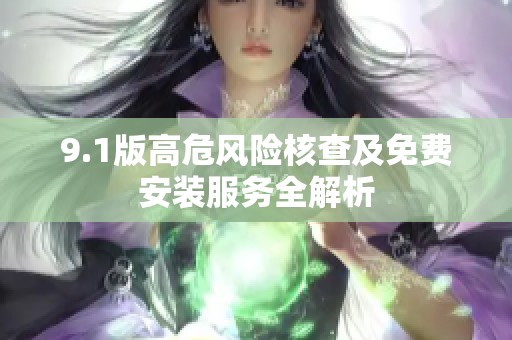 9.1版高危风险核查及免费安装服务全解析