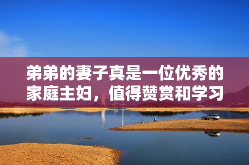 弟弟的妻子真是一位优秀的家庭主妇，值得赞赏和学习