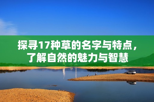 探寻17种草的名字与特点，了解自然的魅力与智慧