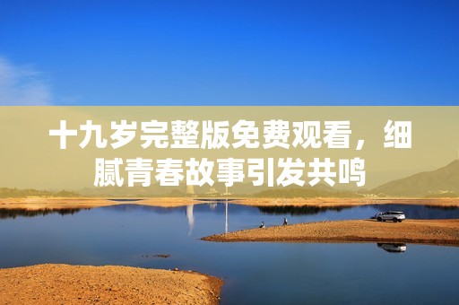 十九岁完整版免费观看，细腻青春故事引发共鸣