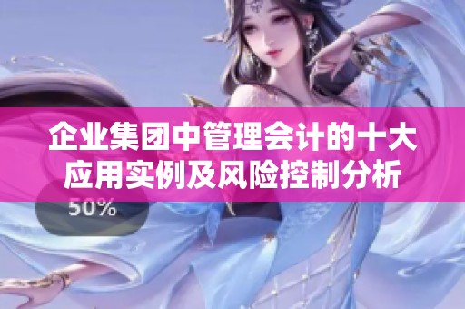 企业集团中管理会计的十大应用实例及风险控制分析