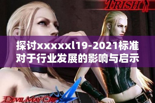 探讨xxxxxl19-2021标准对于行业发展的影响与启示