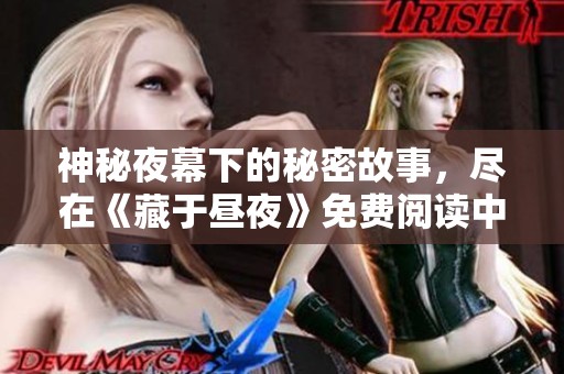 神秘夜幕下的秘密故事，尽在《藏于昼夜》免费阅读中