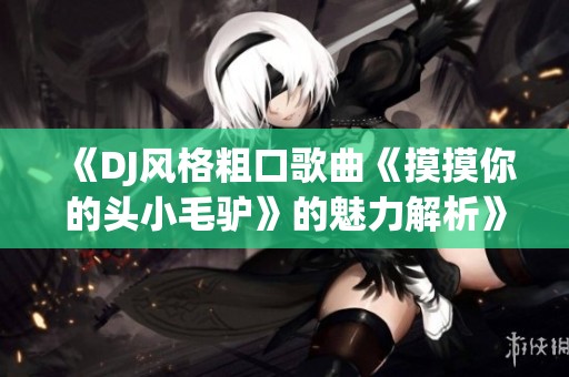 《DJ风格粗口歌曲《摸摸你的头小毛驴》的魅力解析》