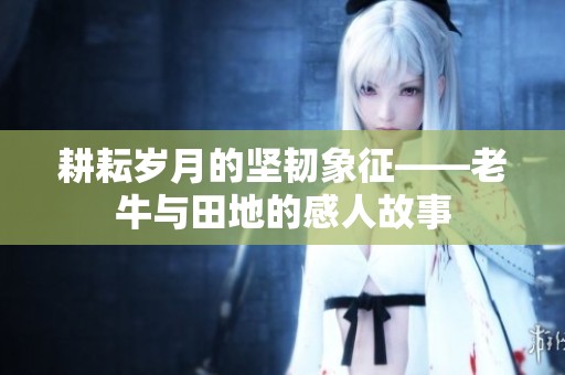 耕耘岁月的坚韧象征——老牛与田地的感人故事