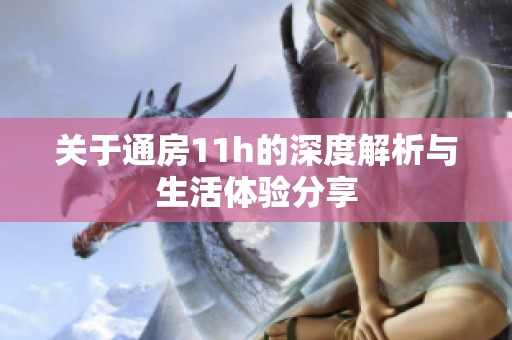 关于通房11h的深度解析与生活体验分享
