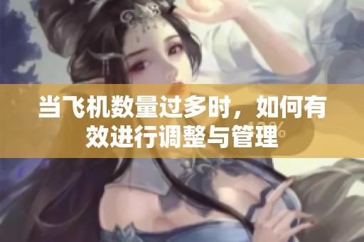当飞机数量过多时，如何有效进行调整与管理