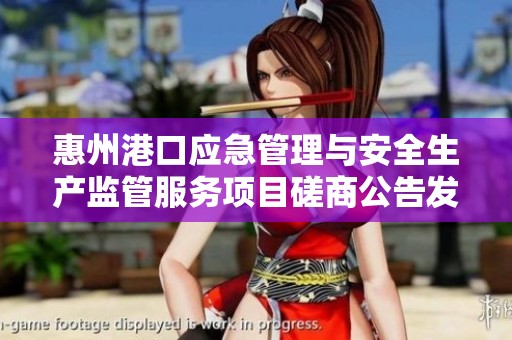 惠州港口应急管理与安全生产监管服务项目磋商公告发布