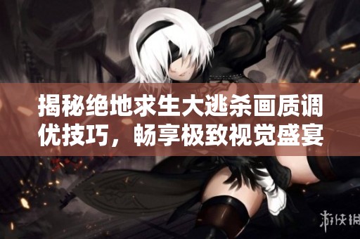 揭秘绝地求生大逃杀画质调优技巧，畅享极致视觉盛宴