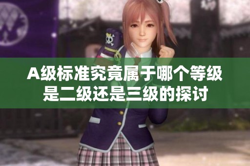 A级标准究竟属于哪个等级是二级还是三级的探讨