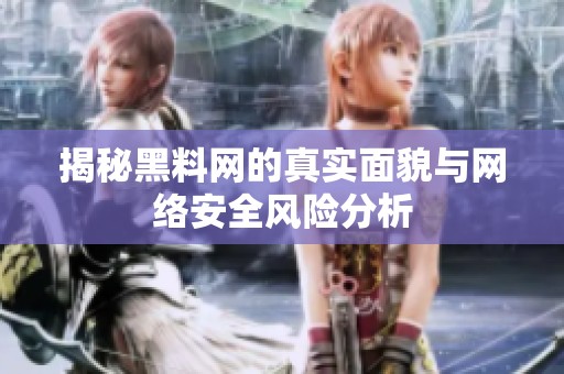 揭秘黑料网的真实面貌与网络安全风险分析