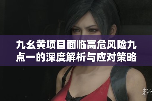 九幺黄项目面临高危风险九点一的深度解析与应对策略