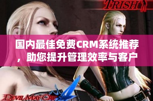 国内最佳免费CRM系统推荐，助您提升管理效率与客户体验