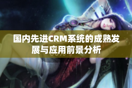 国内先进CRM系统的成熟发展与应用前景分析