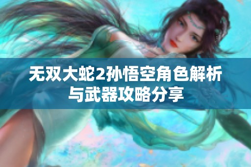 无双大蛇2孙悟空角色解析与武器攻略分享