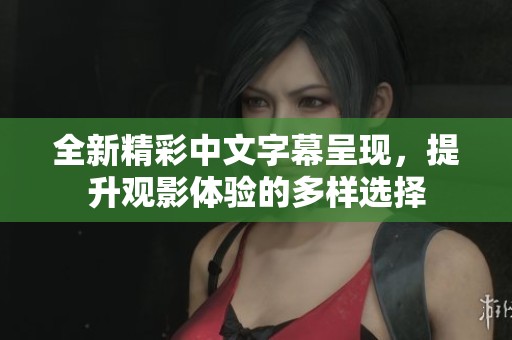全新精彩中文字幕呈现，提升观影体验的多样选择