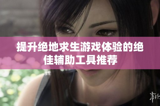 提升绝地求生游戏体验的绝佳辅助工具推荐