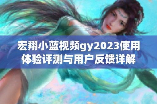 宏翔小蓝视频gy2023使用体验评测与用户反馈详解