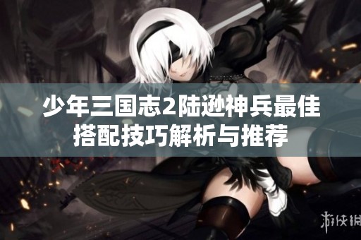 少年三国志2陆逊神兵最佳搭配技巧解析与推荐