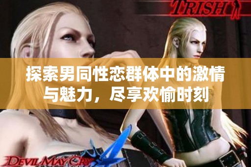 探索男同性恋群体中的激情与魅力，尽享欢愉时刻