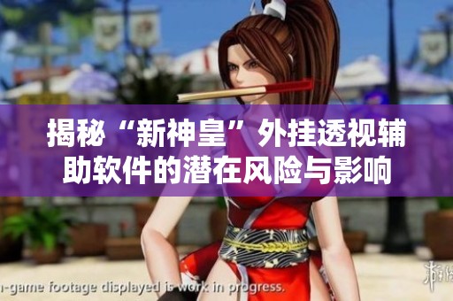 揭秘“新神皇”外挂透视辅助软件的潜在风险与影响