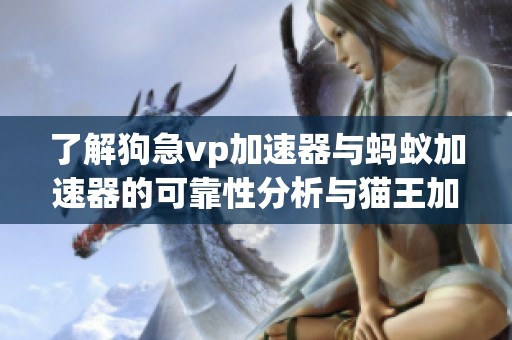 了解狗急vp加速器与蚂蚁加速器的可靠性分析与猫王加速器的对比评测