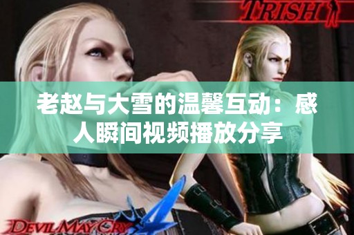 老赵与大雪的温馨互动：感人瞬间视频播放分享