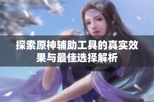 探索原神辅助工具的真实效果与最佳选择解析