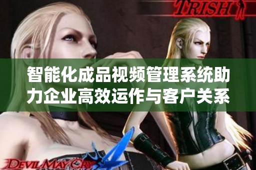 智能化成品视频管理系统助力企业高效运作与客户关系维护