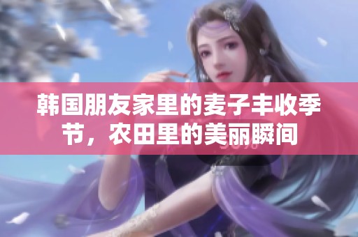 韩国朋友家里的麦子丰收季节，农田里的美丽瞬间