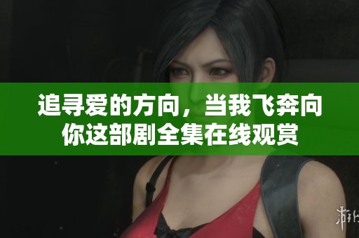 追寻爱的方向，当我飞奔向你这部剧全集在线观赏