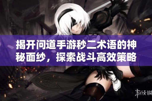 揭开问道手游秒二术语的神秘面纱，探索战斗高效策略