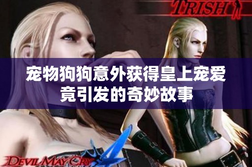 宠物狗狗意外获得皇上宠爱竟引发的奇妙故事